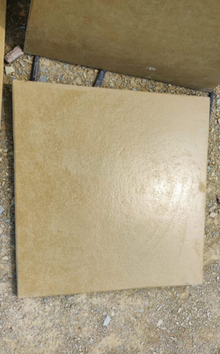 270-318X510_FEATURED-IMAGE-Acadian-Black